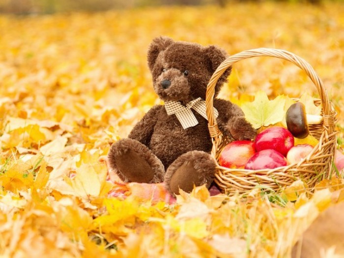 Új képzés indítási időpontok a honlapon!