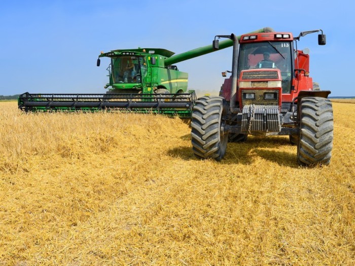 Új cikk a Tudáshálón!