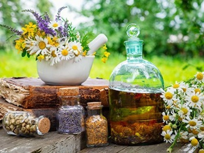 Fitoterápia képzést indítunk!