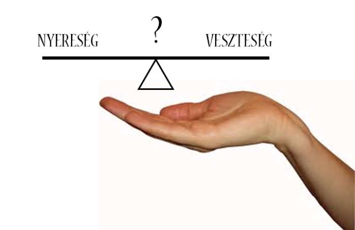 Számviteli gyorstalpaló ügyvezetőknek (1. rész) - Hogyan olvassunk a mérlegből?