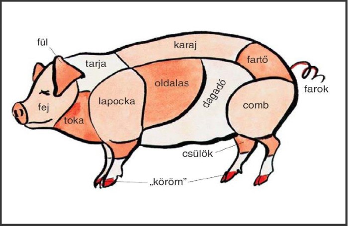 „Malackodik” a NAV: comb, toka 5%, orr, fül 27% - A sertéshús áfa-kulcsa 2016-tól