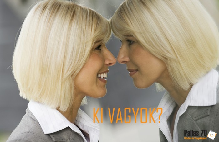 Ki vagyok? - A kft tagja, mint társas vállalkozó