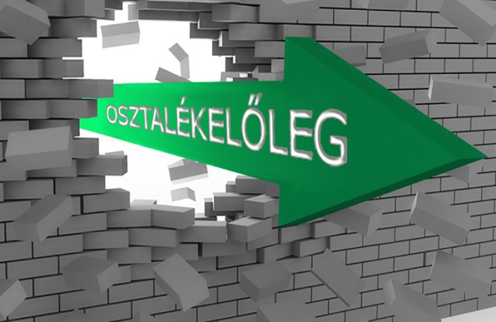 Karácsonyi ajándék az eredménytartalékból? - Az osztalék- és az osztalékelőlegre fizethető összeg