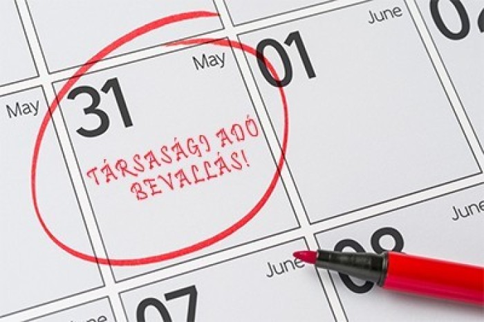 Durva hibák a társasági adóbevallásokban – a NAV felfedi, mi mindent tapasztaltak a revizorok