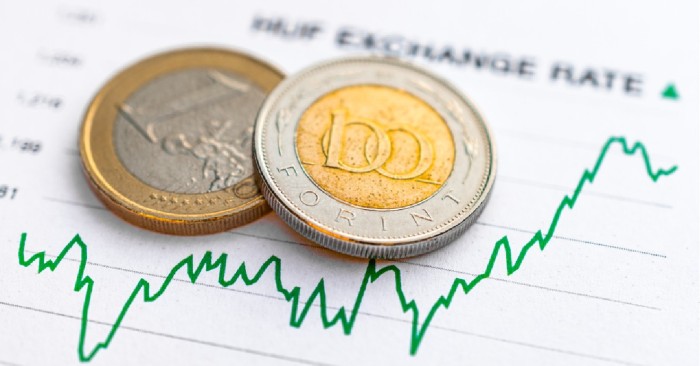 Forintból euró, euróból forint – devizás ügyletek a tulajdonosokkal