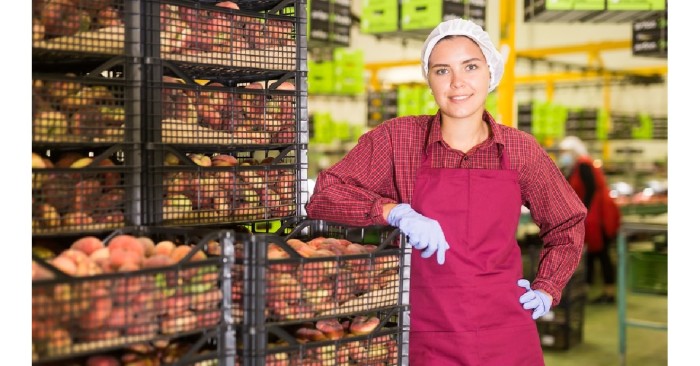 Egyszerűen bonyolult – az egyszerűsített foglalkoztatás és ellenőrzési tapasztalatai