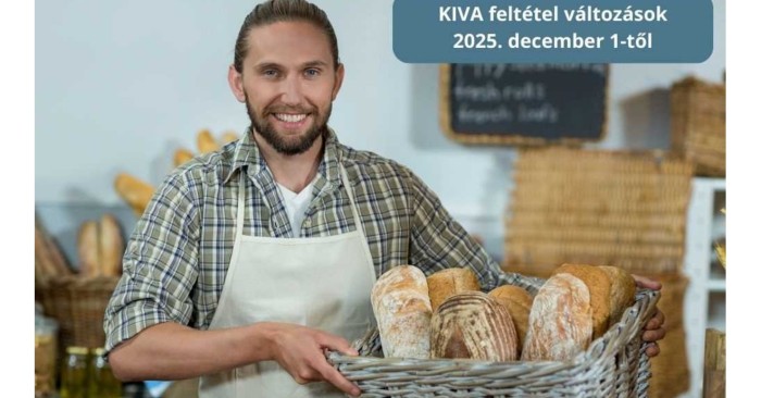 Kisvállalati adó feltételeinek változása.