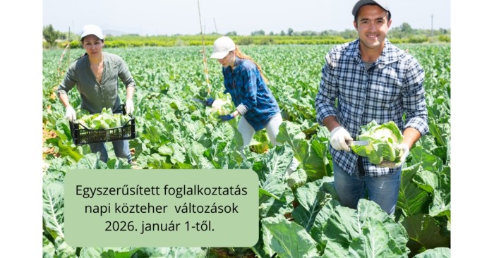 Egyszerűsített foglalkoztatás 2026. január 1-től