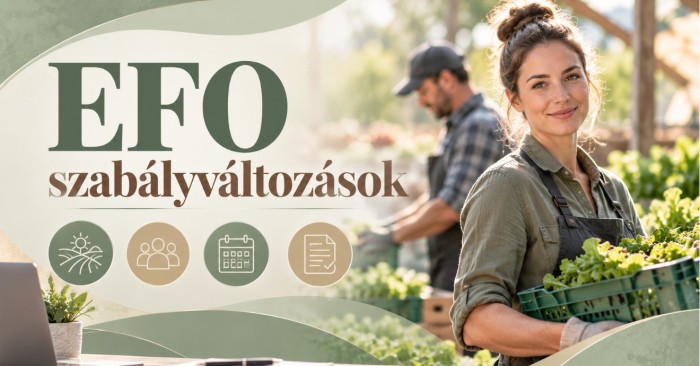 Változtak az egyszerűsített foglalkoztatás szabályai 2026-ban